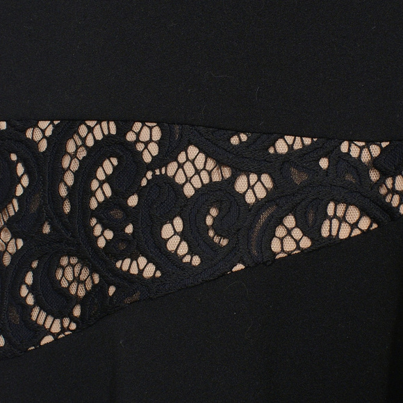 BCBG MAXAZRIA Black Dominique Lace Panel Stretch Crepe Sleeveless Gown 0 - Picture 6 of 6